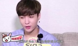 张艺兴老板爆料视频,揭秘明星幕后真相与心酸历程